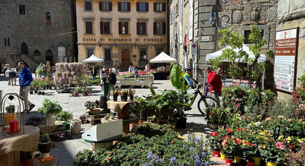 Cortona in fiore per il primo maggio all’insegna dei colori