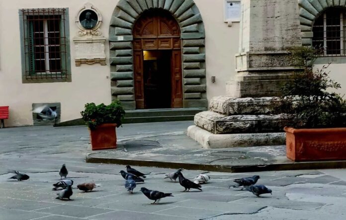 Foiano della Chiana piano di controllo della popolazione dei colombi