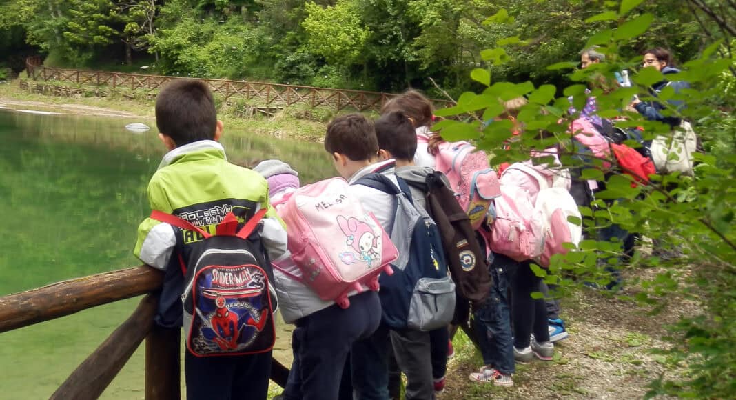 Riaprono i punti di informazione del parco delle Foreste casentinesi