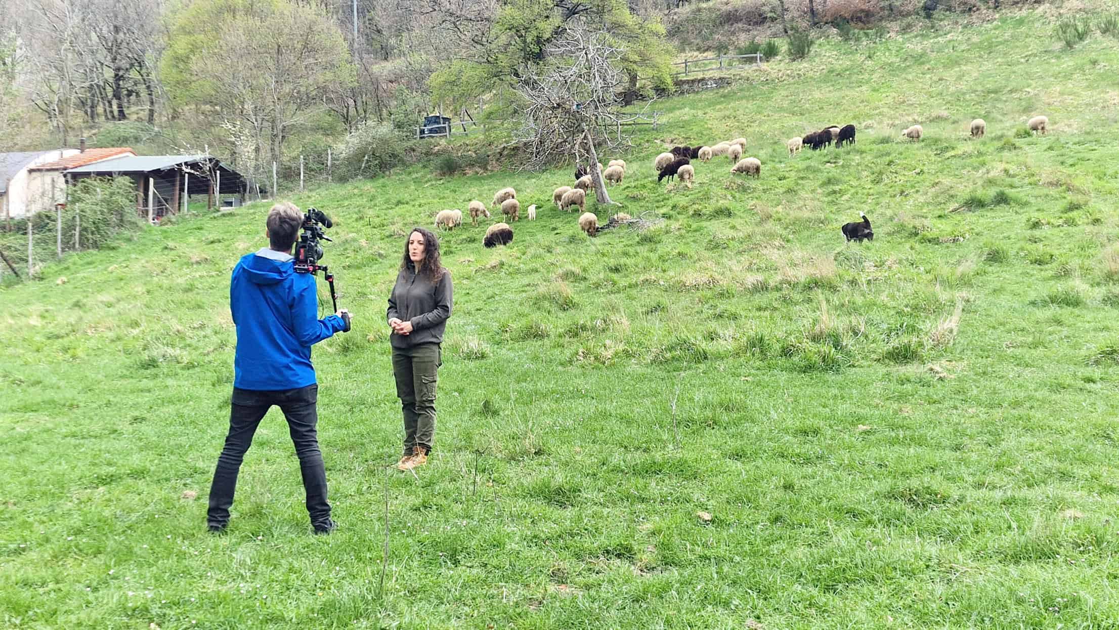 Deutsche Welle nelle Foreste casentinesi per la ShepherdSchool europea