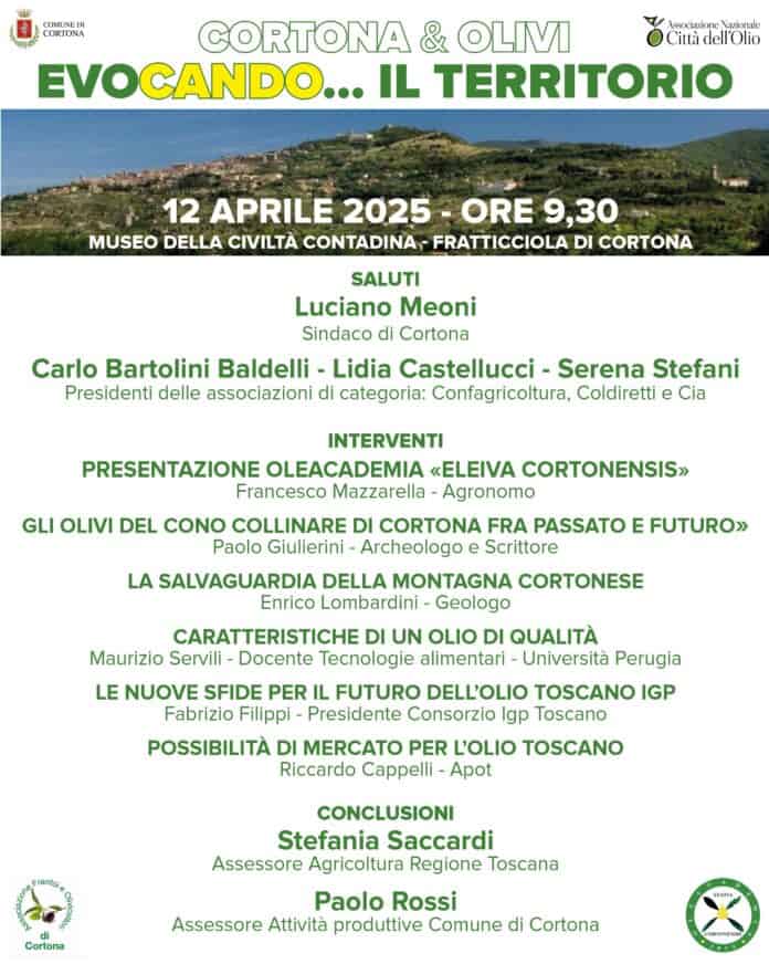 Cortona, nasce l’Oleacademia Eleiva per valorizzare l’olio locale