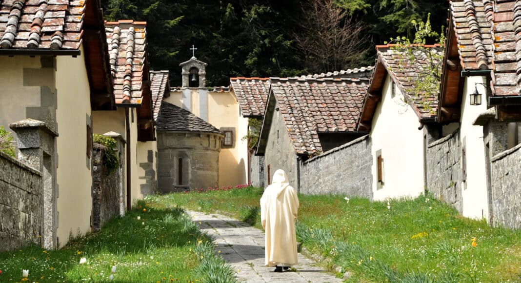 Un percorso tra natura e spiritualità nel parco Foreste casentinesi