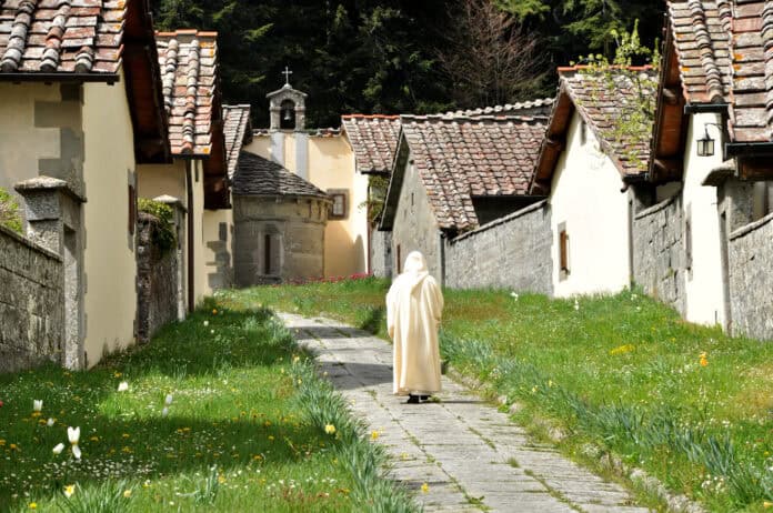 Un percorso tra natura e spiritualità nel parco Foreste casentinesi