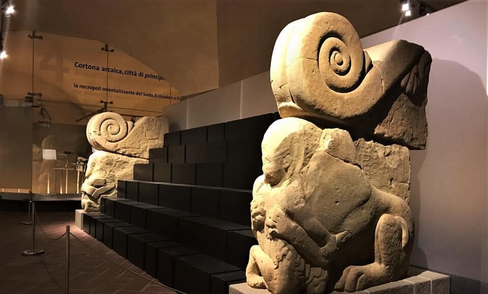 MAEC_Sala del Biscione con vetrine espositive