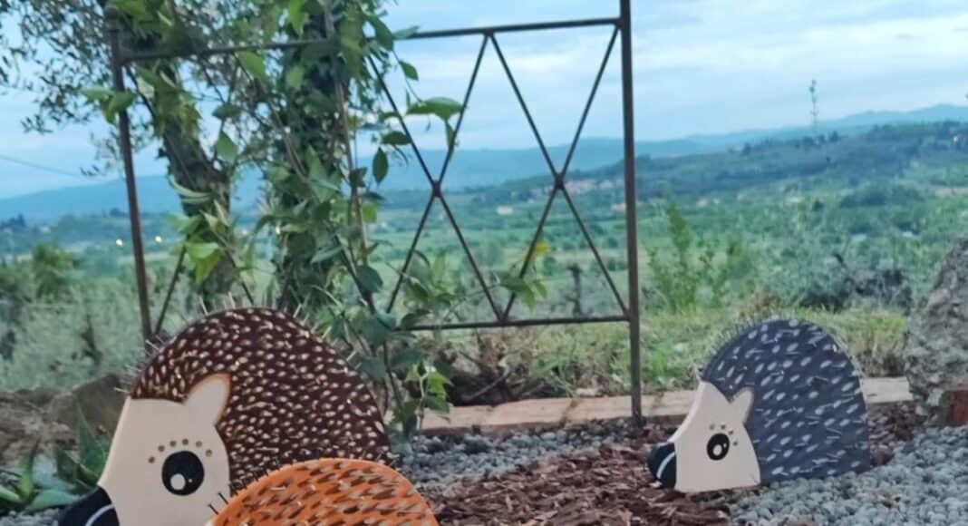 Nasce alla periferia di Arezzo il primo Museo delle Arti Umide