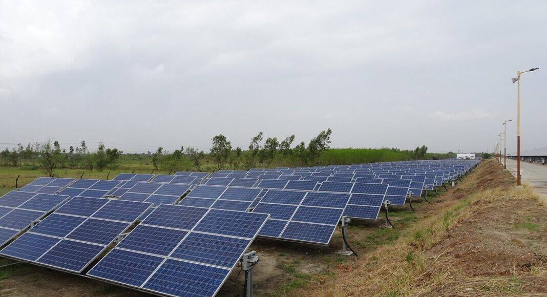 Fratelli d’Italia Cortona: “Sull’agri-voltaico il PD si arrende