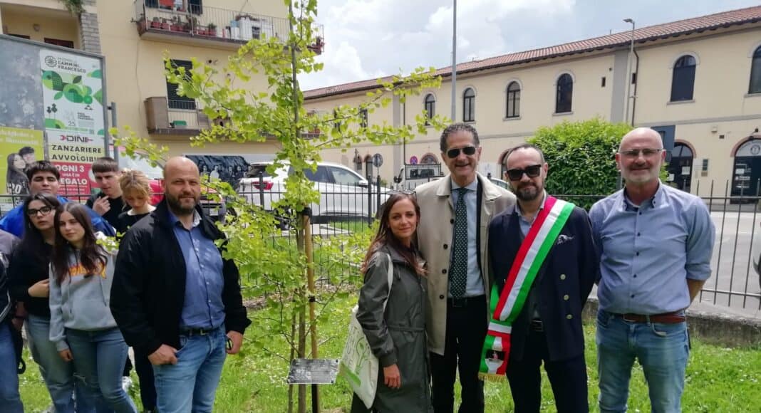 Un esemplare di “Ginko Biloba” nel parco XXV aprile a Sansepolcro