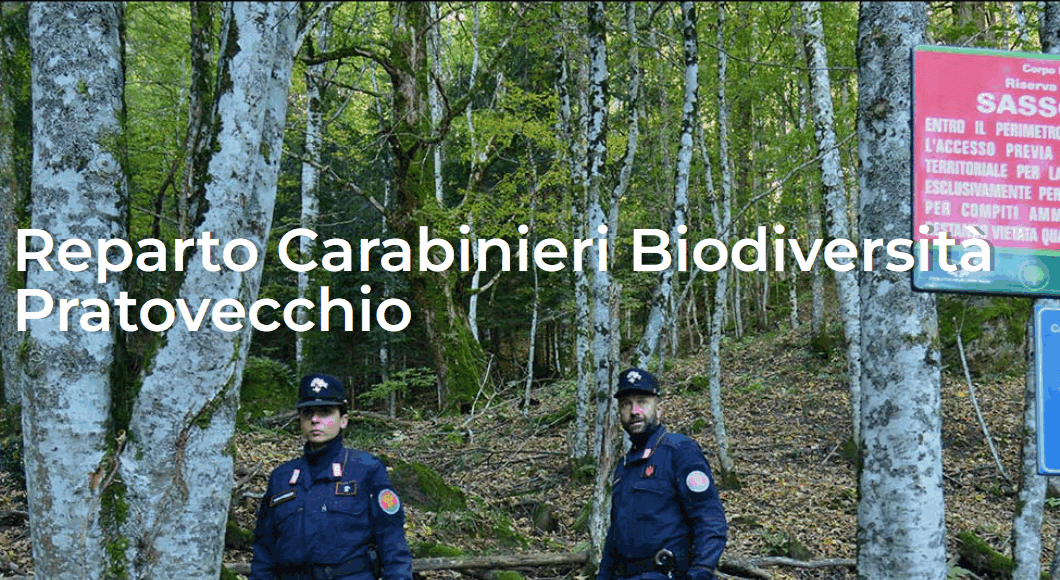 Nuove assunzioni presso il reparto Carabinieri di Pratovecchio