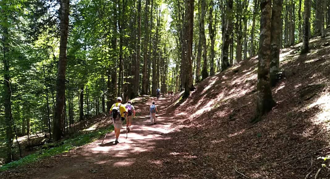 boschi-cammini-casentino-camminate