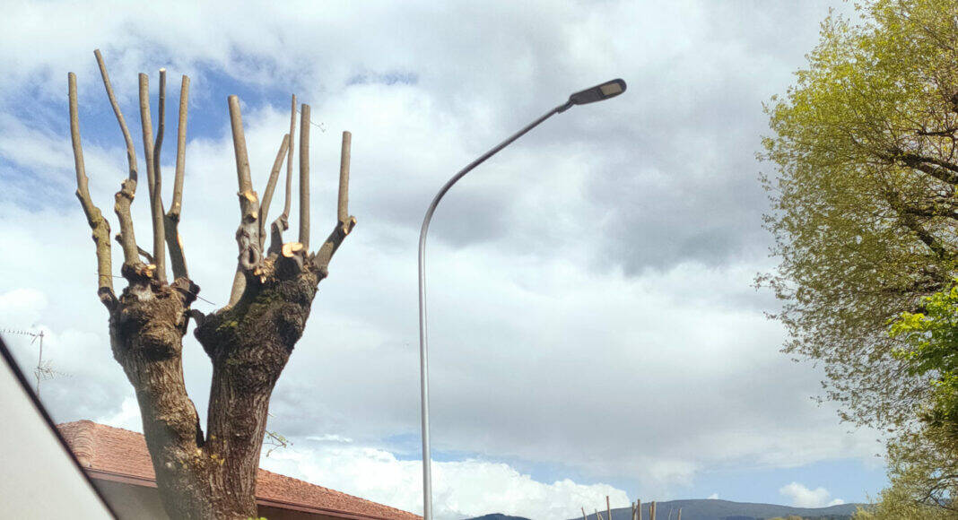 Bibbiena Verde urbano, una scelta (non solo) politica