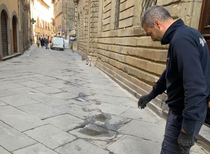 Cortona, “Stop zanzare” al mercato di Camucia con consigli e strumenti