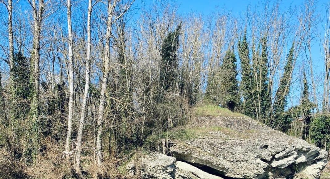 area naturale fra Ponte Buriano