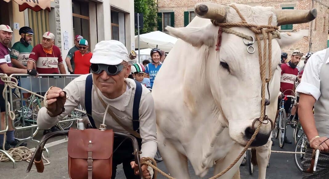 La Chianina Ciclostorica. L’undicesima edizione