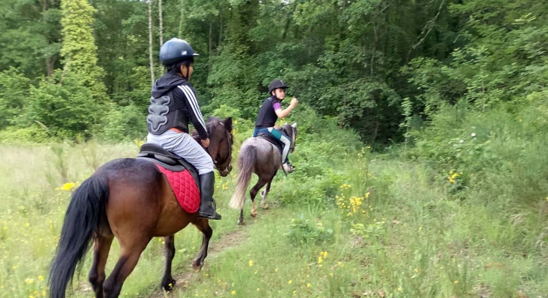 Camp estivo tra equitazione e Giostra del Saracino con la Scuderia Pan