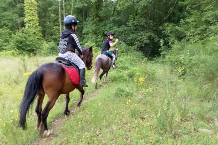 Camp estivo tra equitazione e Giostra del Saracino con la Scuderia Pan
