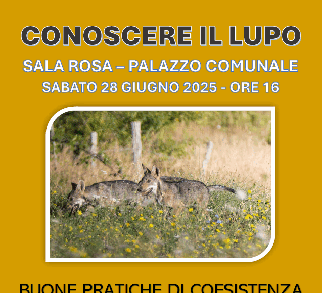 conoscere il lupo