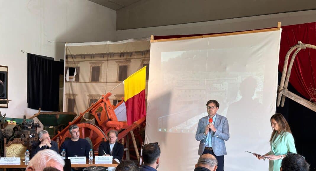 Cortona, è partito il monitoraggio della mosca olearia