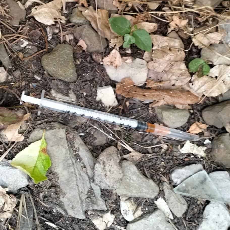 Ar-Puliamo Arezzo: seconda tappa, parco del Pionta