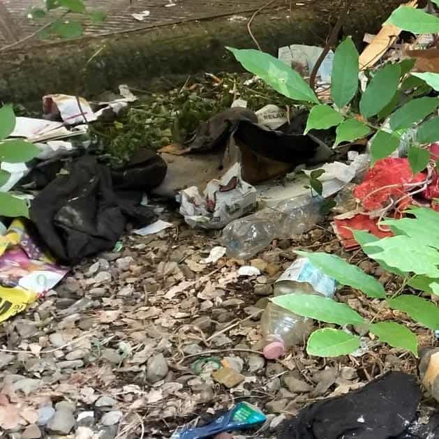 Ar-Puliamo Arezzo: seconda tappa, parco del Pionta