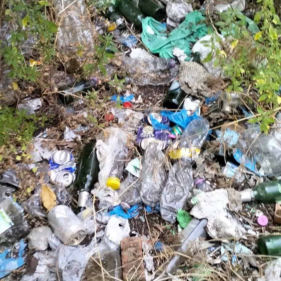 Ar-Puliamo Arezzo: seconda tappa, parco del Pionta