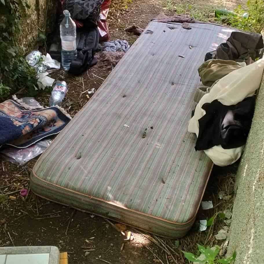 Ar-Puliamo Arezzo: seconda tappa, parco del Pionta