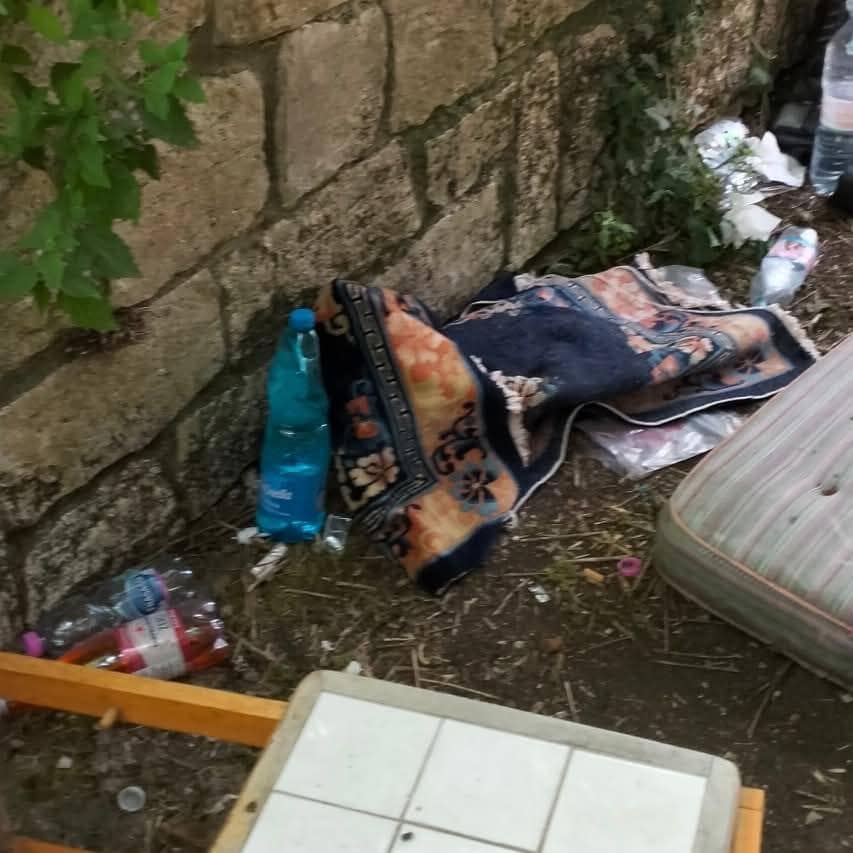 Ar-Puliamo Arezzo: seconda tappa, parco del Pionta