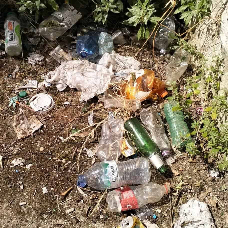 Ar-Puliamo Arezzo: seconda tappa, parco del Pionta