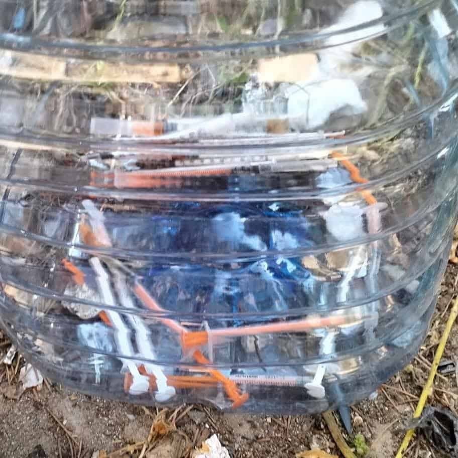 Ar-Puliamo Arezzo: seconda tappa, parco del Pionta