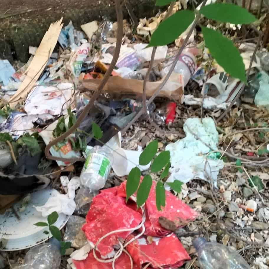 Ar-Puliamo Arezzo: seconda tappa, parco del Pionta