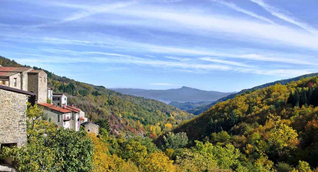 Al via il progetto MEC - Musei ed Ecomusei del Casentino