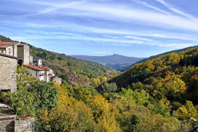 Al via il progetto MEC - Musei ed Ecomusei del Casentino