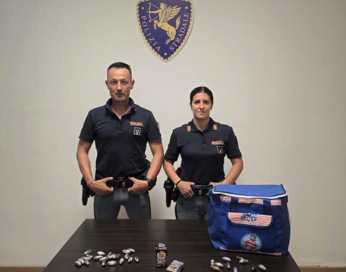 Hashish nascosto nella borsa frigo, due giovani arrestati in A1
