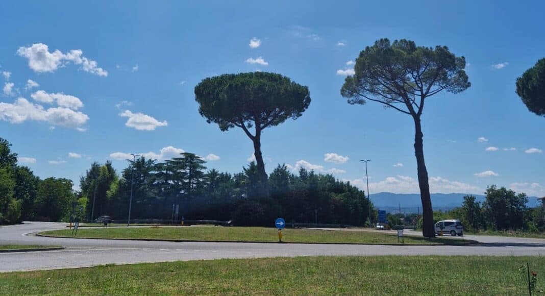 Sansepolcro: gestione verde pubblico