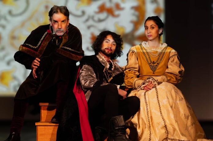 Terre in Festival