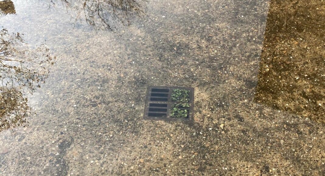 Azione e i nubifragi di Arezzo