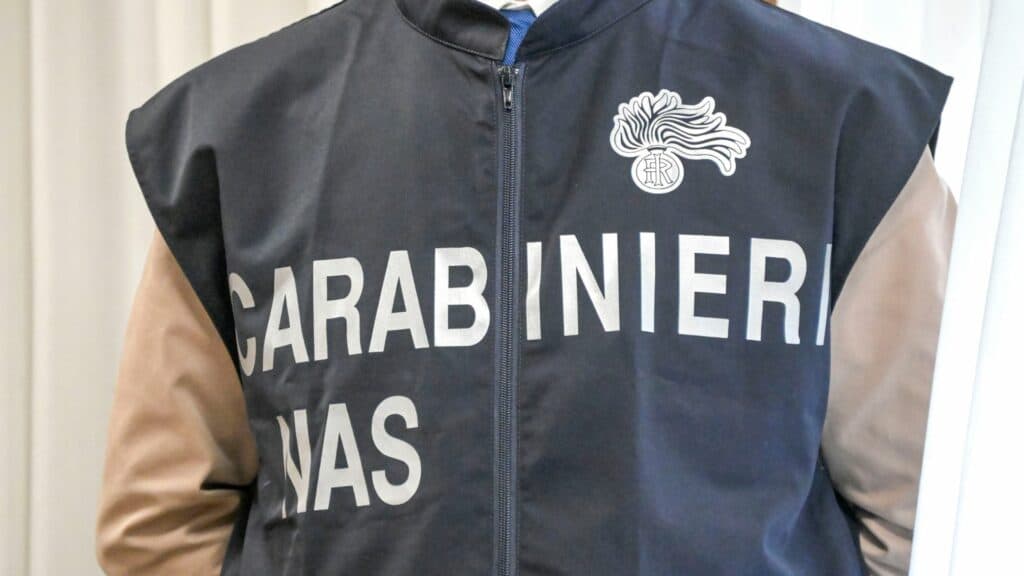 Vigile dei Carabinieri in uniforme, simbolo della pubblica sicurezza in Italia.