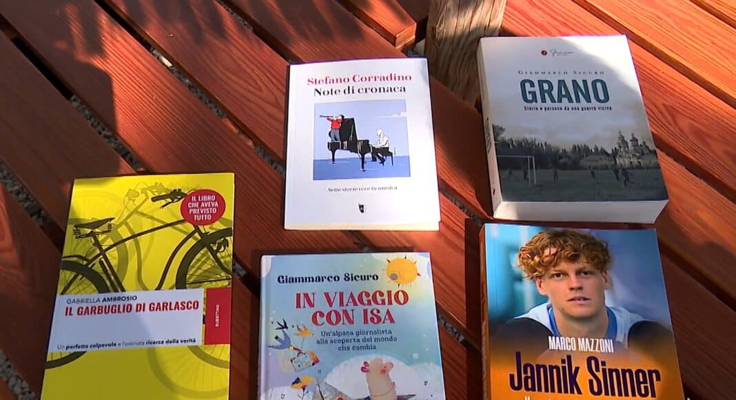 Castiglion Fiorentino, “Pini da Sfogliare”