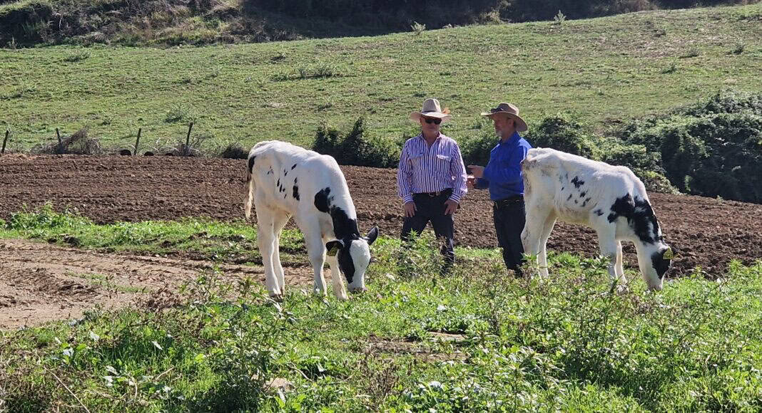 allevatori difesa attacchi