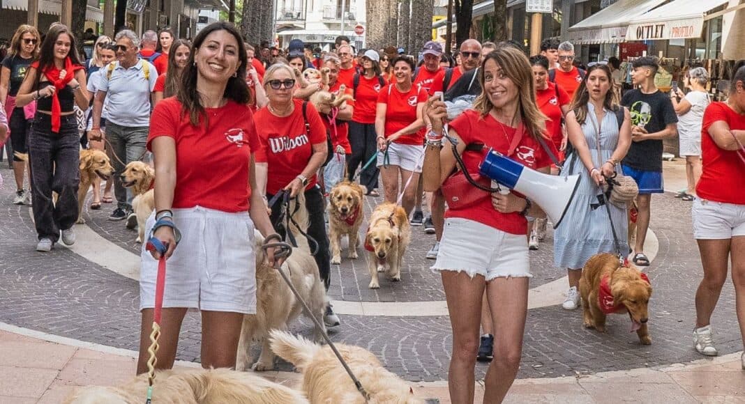 A Soci il raduno nazionale dei Golden Retriever