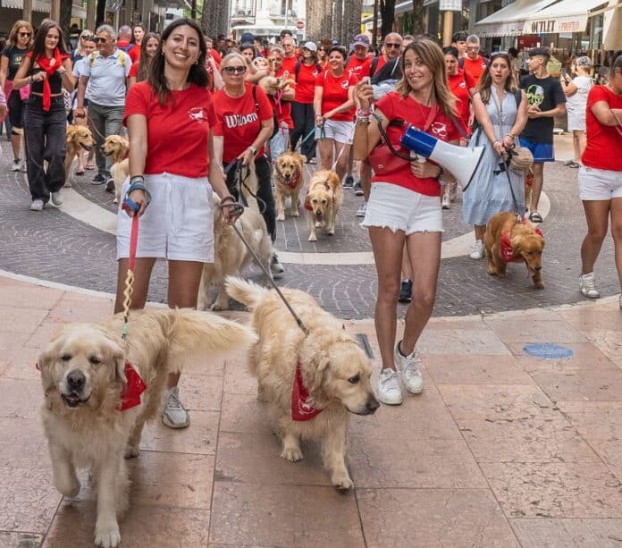 A Soci il raduno nazionale dei Golden Retriever