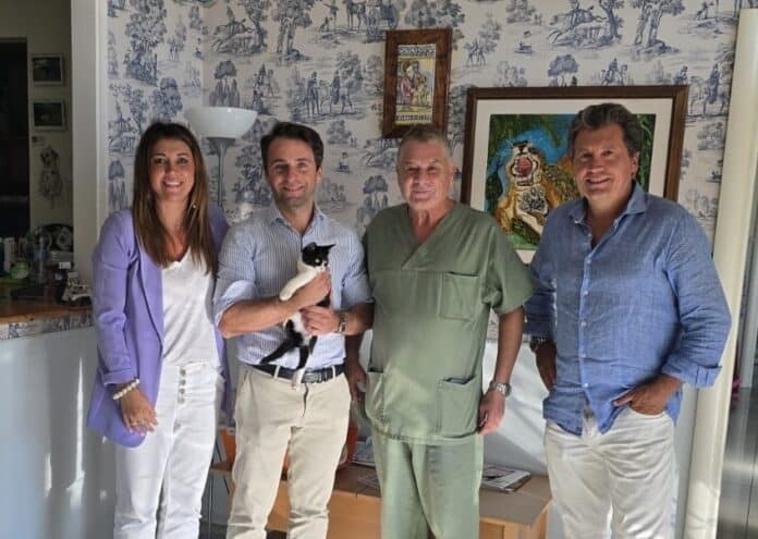 Brandi Castiglion Fiorentino adozione gattino