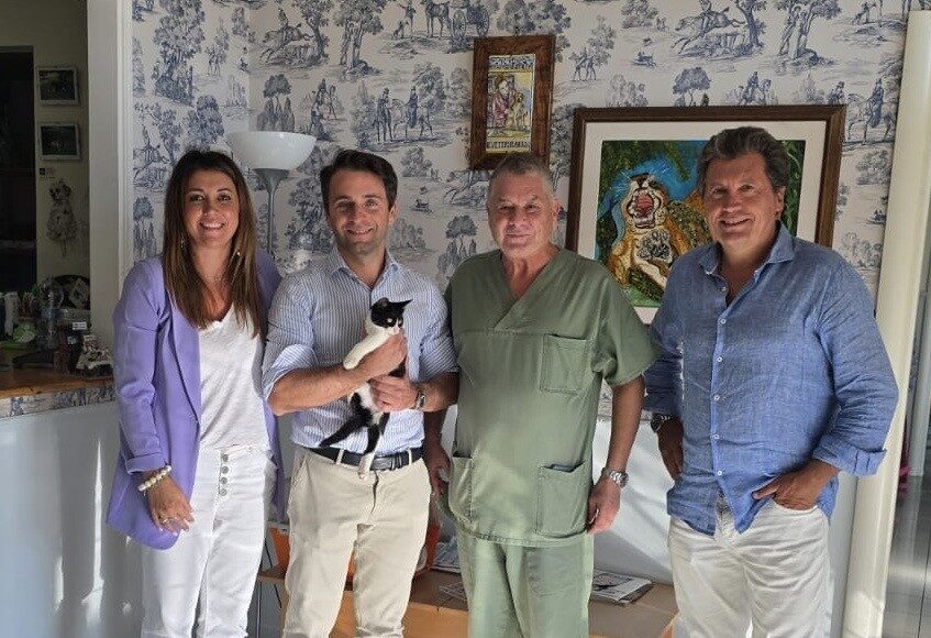 Brandi Castiglion Fiorentino adozione gattino