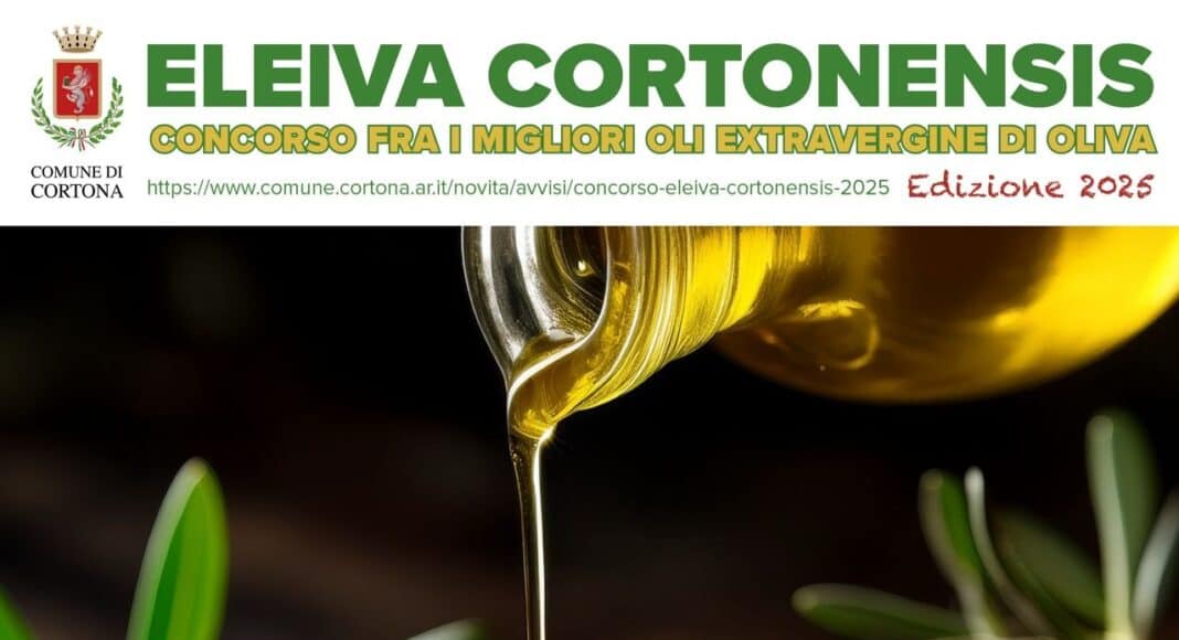 Cortona, Eleiva Cortonensis