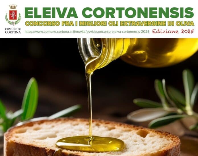 Cortona, Eleiva Cortonensis