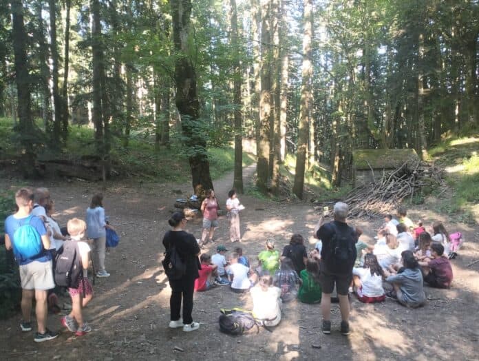 Il Festival del Libro per Ragazzi di Bibbiena a Cernusco