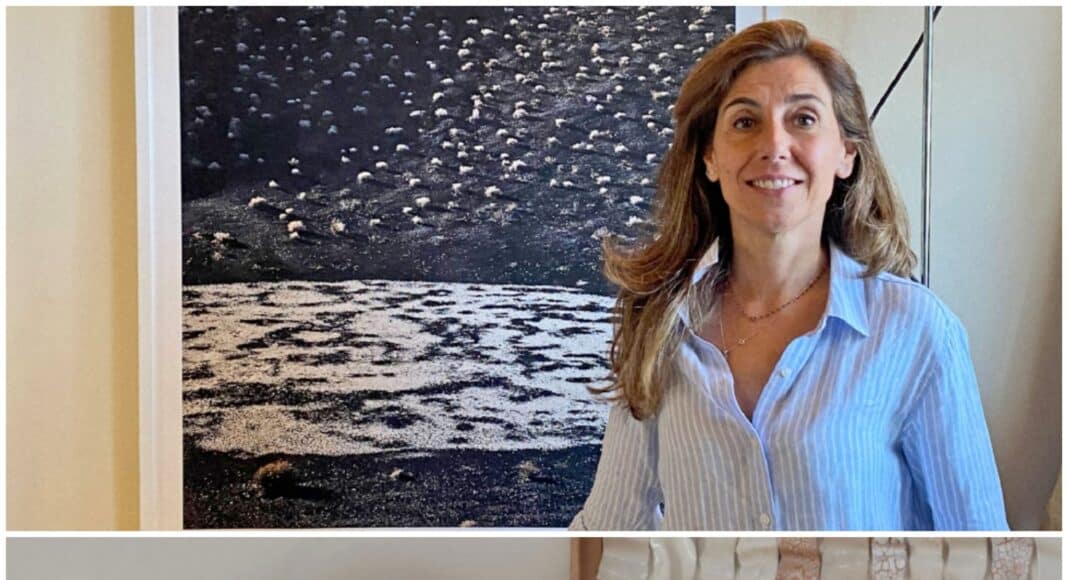 Ferramenta Art Gallery