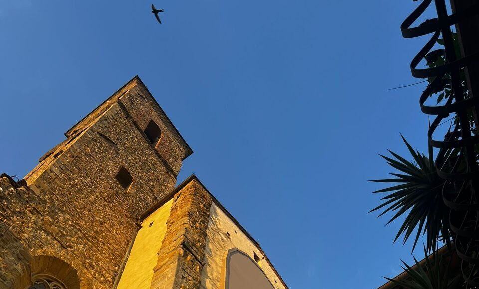 basilica di san francesco