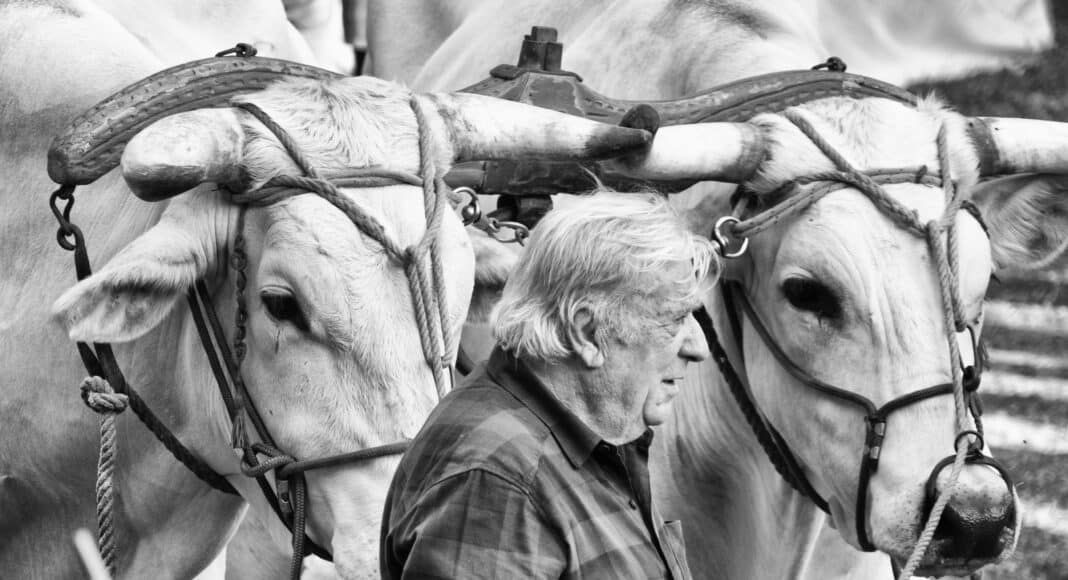 Terranuova: concorso fotografico “La più bella foto del Perdono”