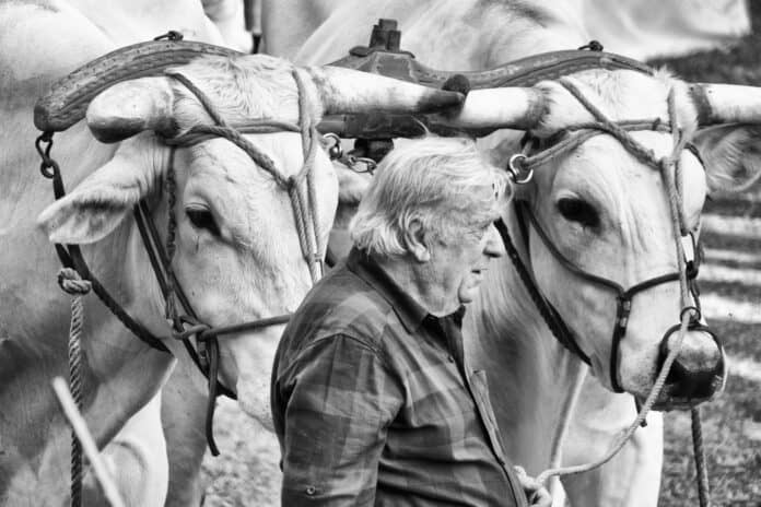 Terranuova: concorso fotografico “La più bella foto del Perdono”