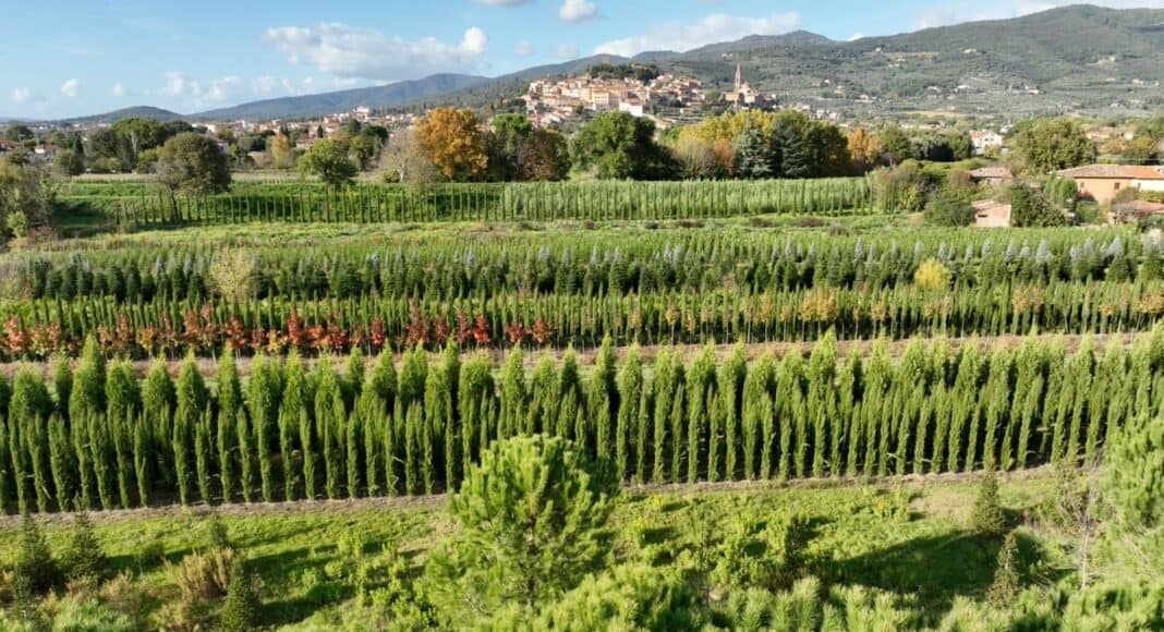 Castiglion Fiorentino 60 le aziende agricole presenti sul territorio